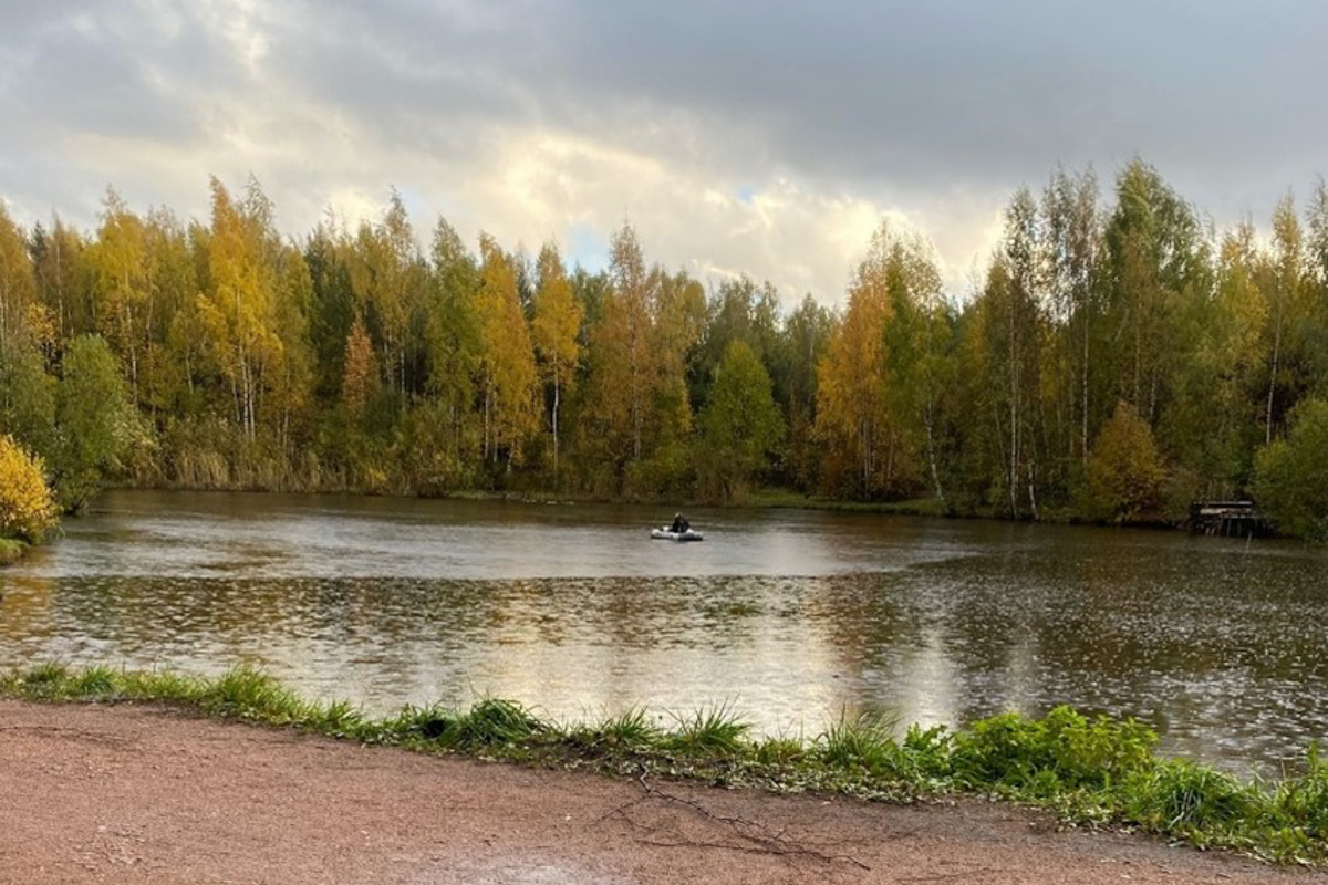 Озеро в парке Сосновка 