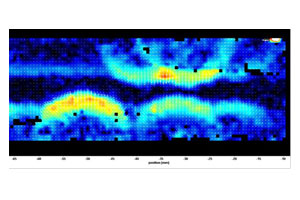 Исследование быстропротекающих процессов в течениях с ударными волнами цифровыми оптическими методами