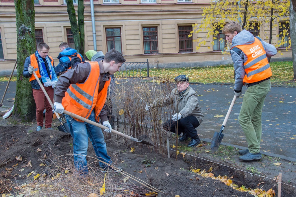 На территории Политеха высажено 250 кустов спиреи