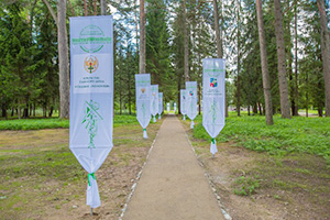 Штандарты СПбГПУ вдоль дорожки к усадебному дому