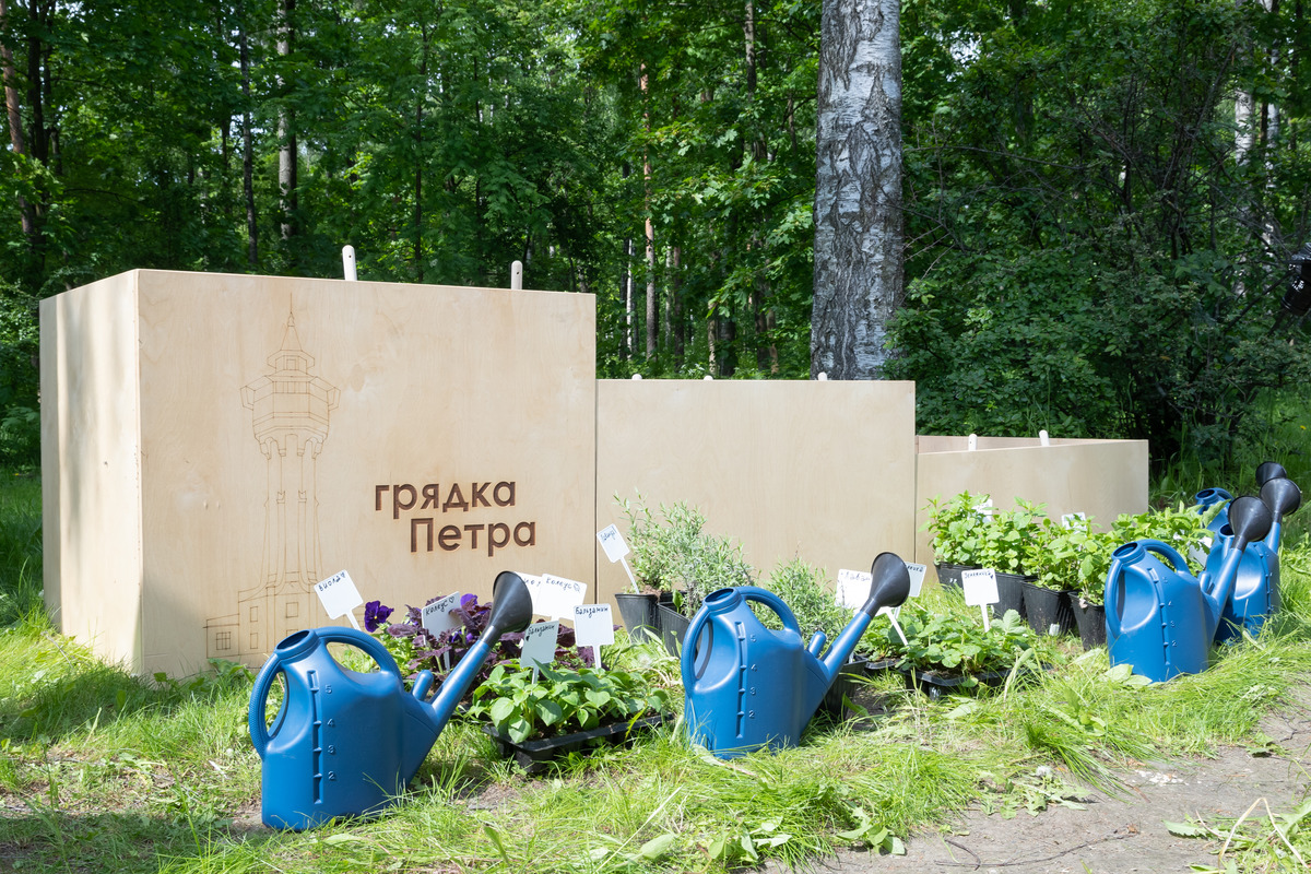 У Петра тоже был свой огородик в Летнем саду