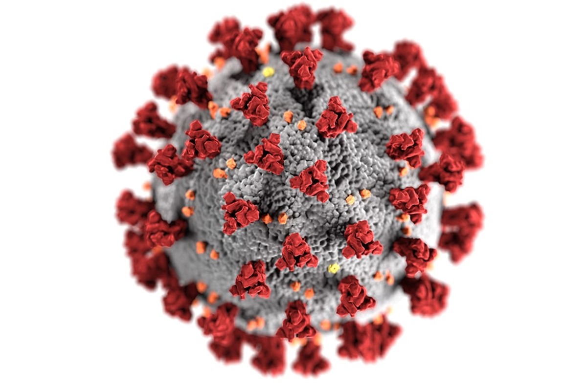 Ученые Политеха разработали программу автоматической калибровки модели распространения коронавируса 