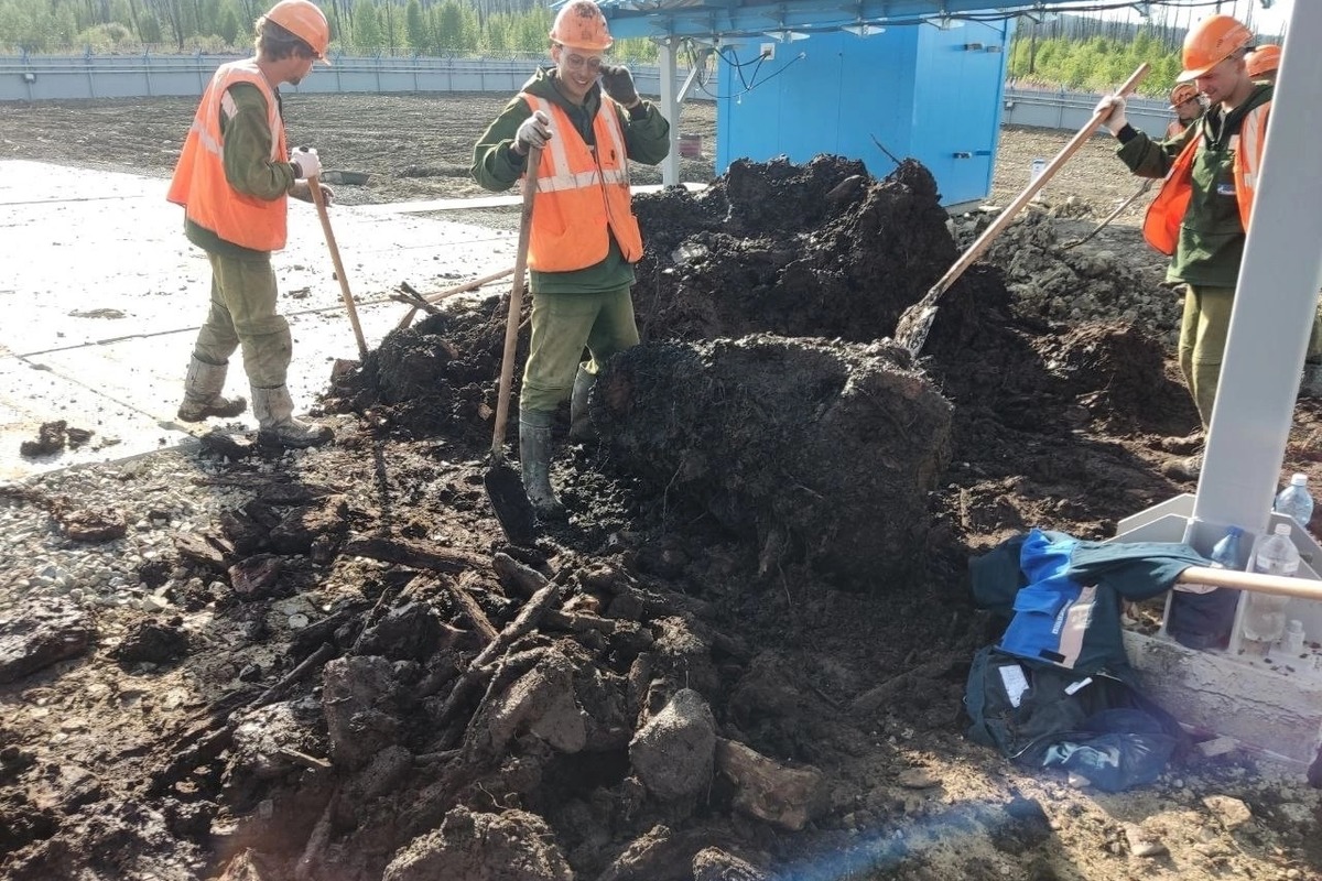 Порой работа выматывает, но моральный дух всегда на высоте