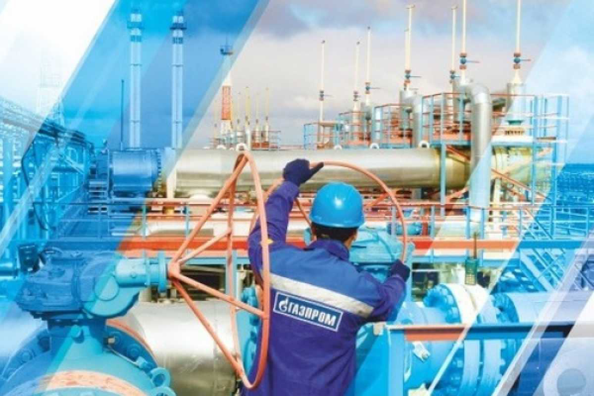 10 профилей олимпиады