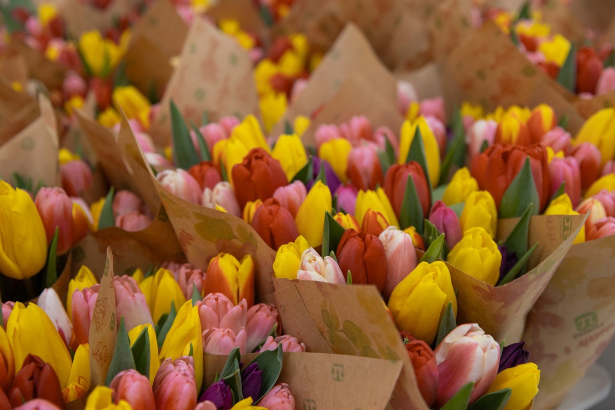 С днём 8 Марта! 