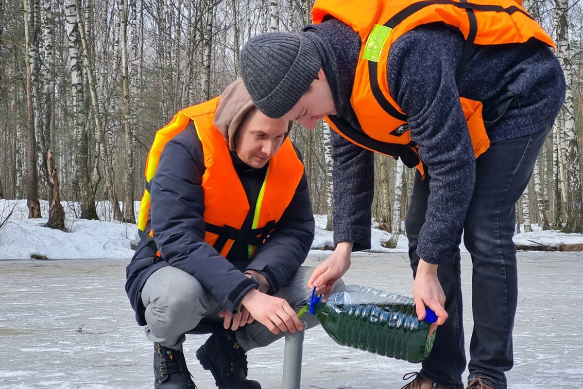 Внесение зелёных микроводорослей Chlorella 