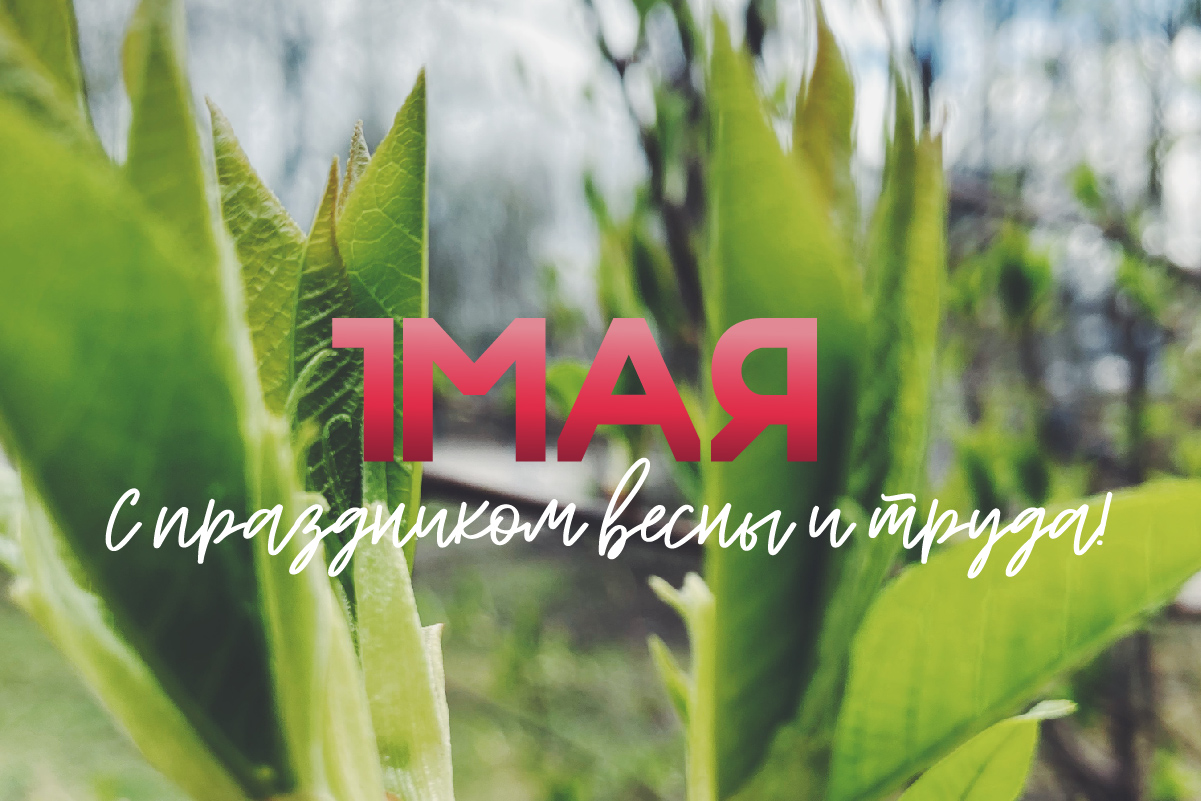 С праздником, политехники! 