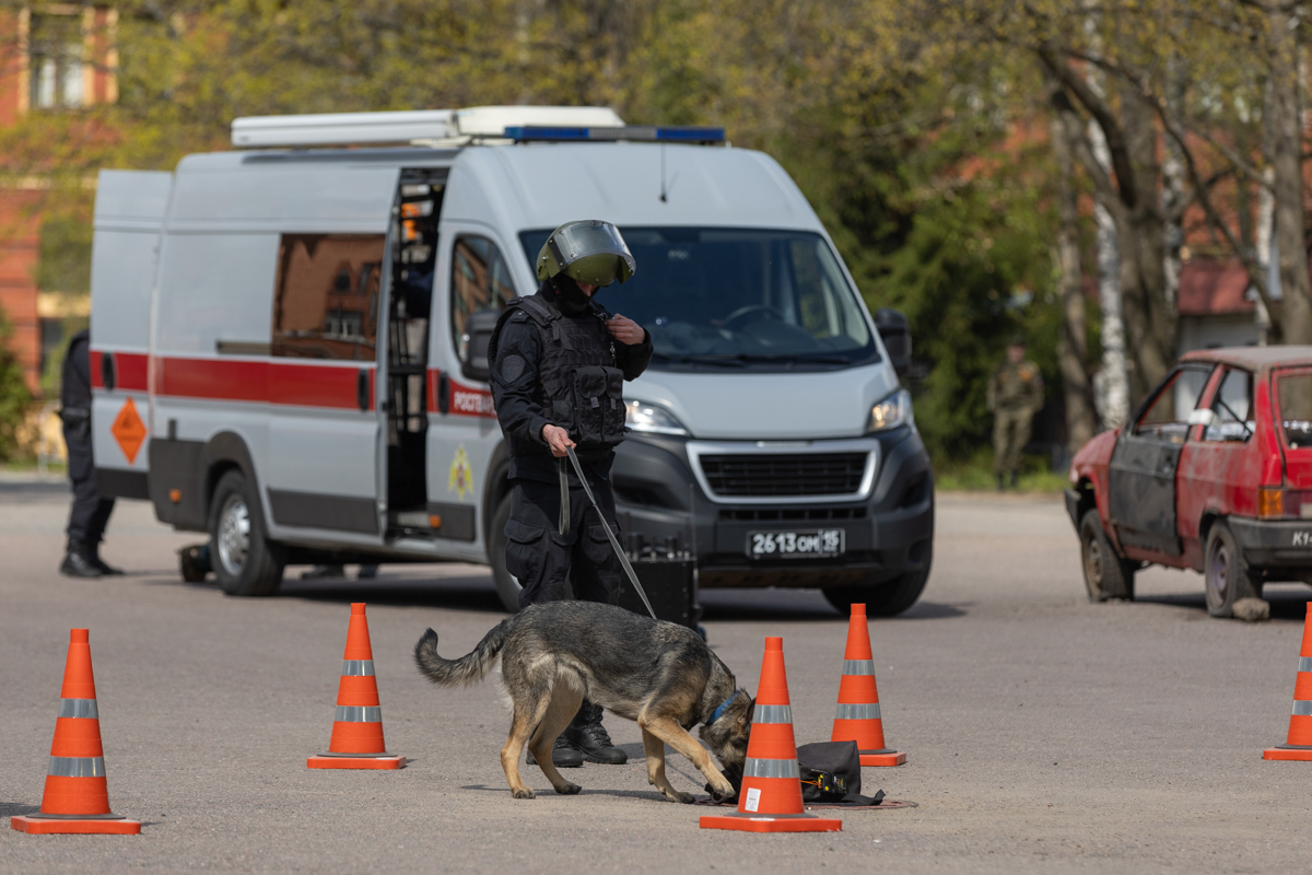 Кинолог и собака Чиба обнаружили взрывное устройство 