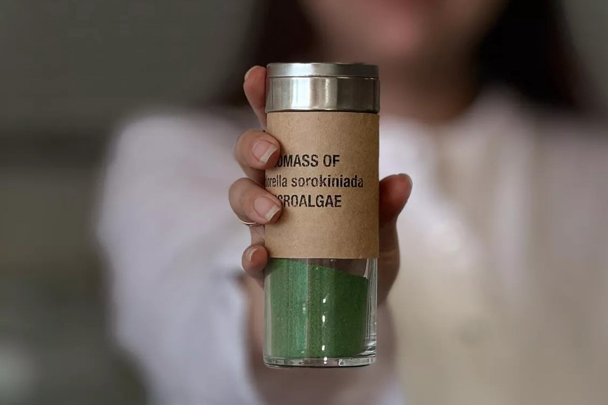 В Политехе создали технологию производства биоводорода из углекислого газа 