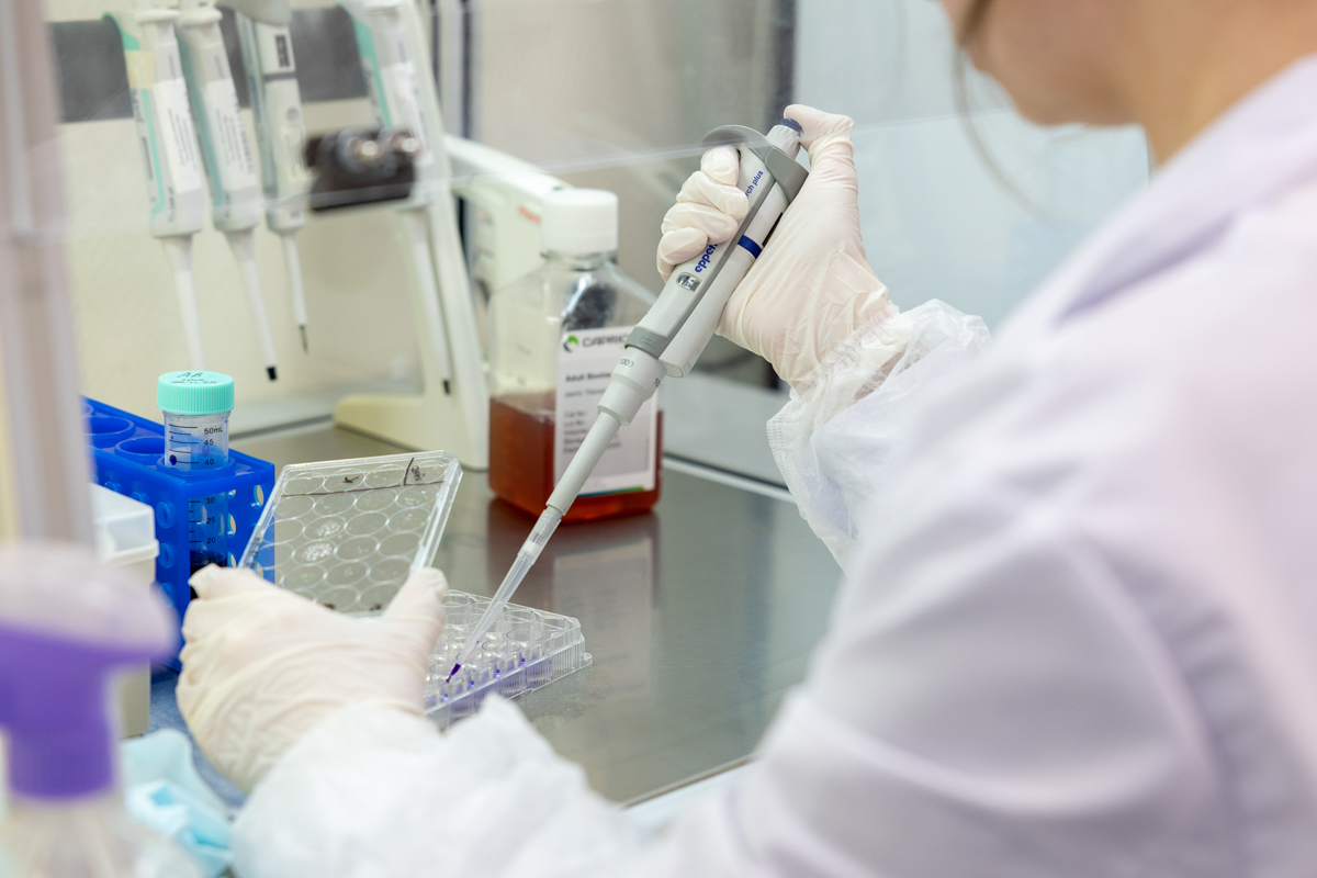 В Политехе предложили эффективные наночастицы для терапии меланомы 