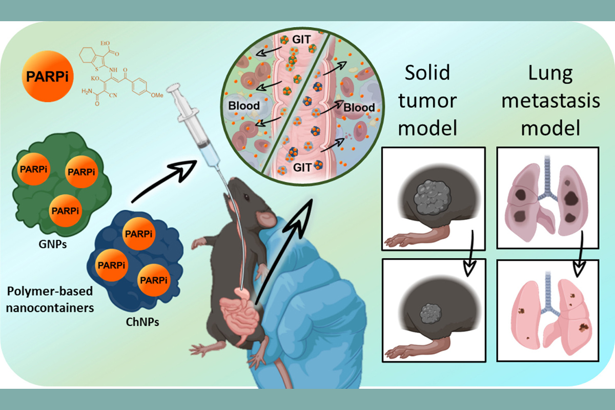 Схема исследования 