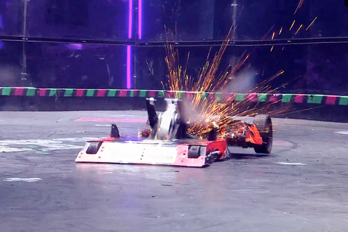 Медоед на «Битве роботов» 