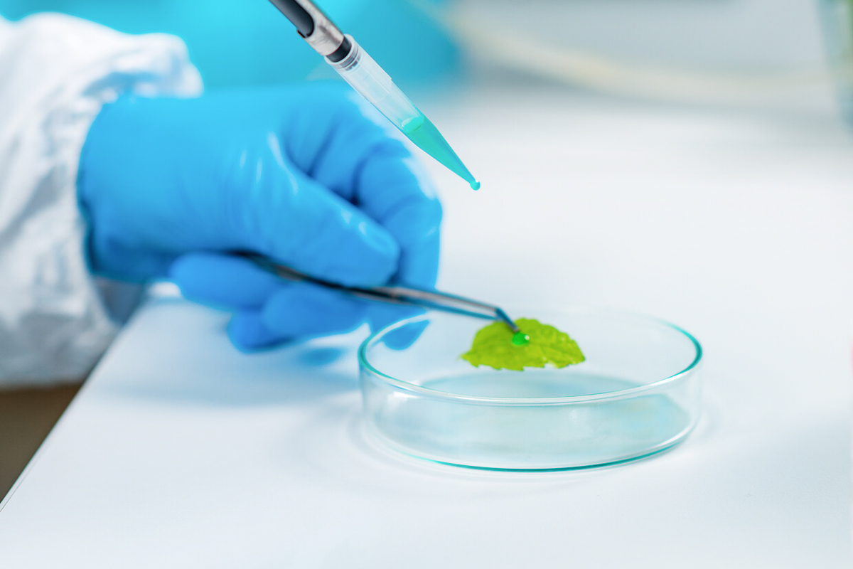 В Политехе стартует новый курс по нутрициологии 