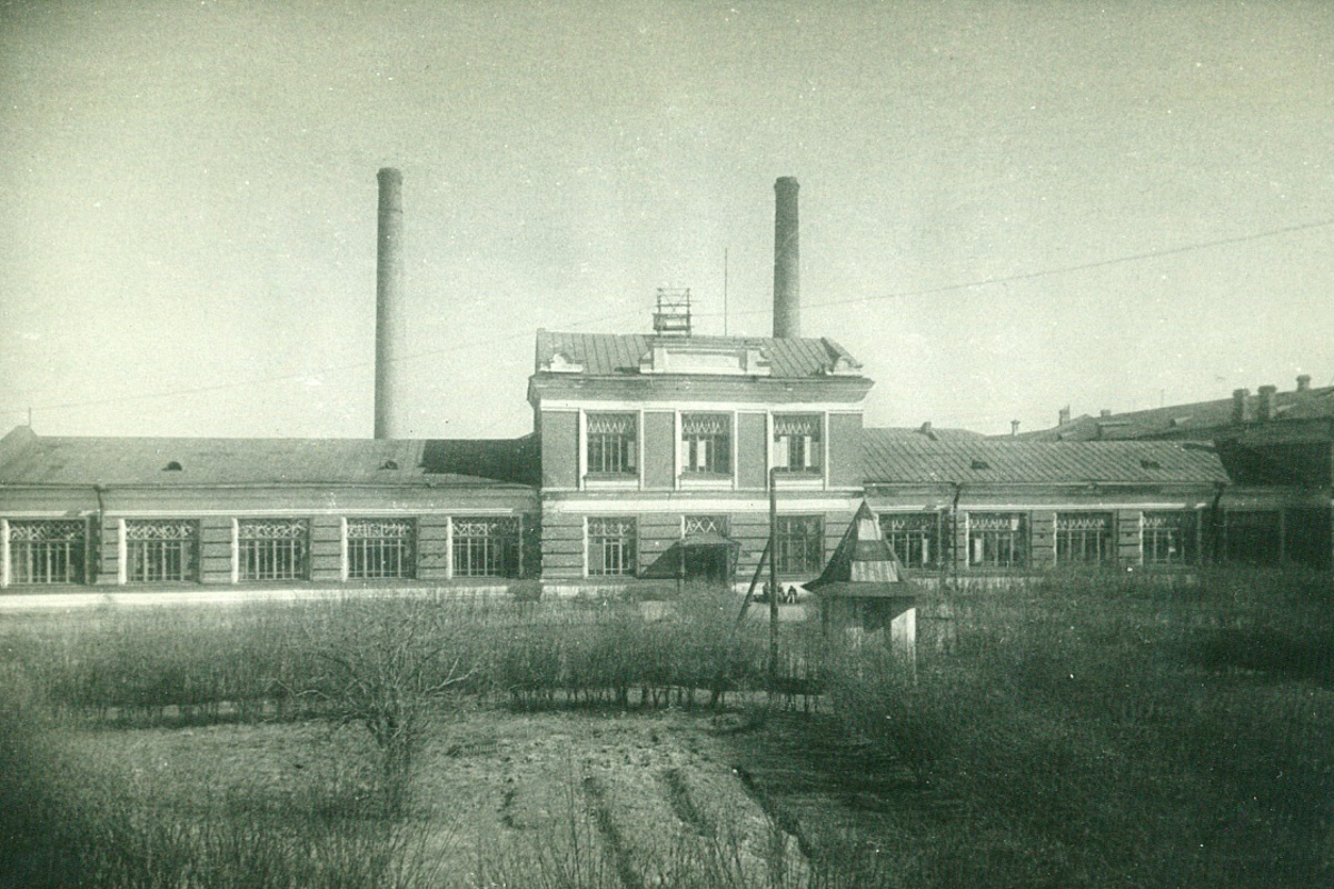 Во время блокады города в институте организовали подсобное хозяйство для выращивания овощей 