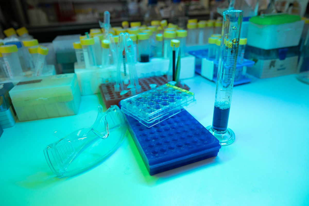 Исследование предлагает конкретные пути для защиты здоровья будущих поколений 