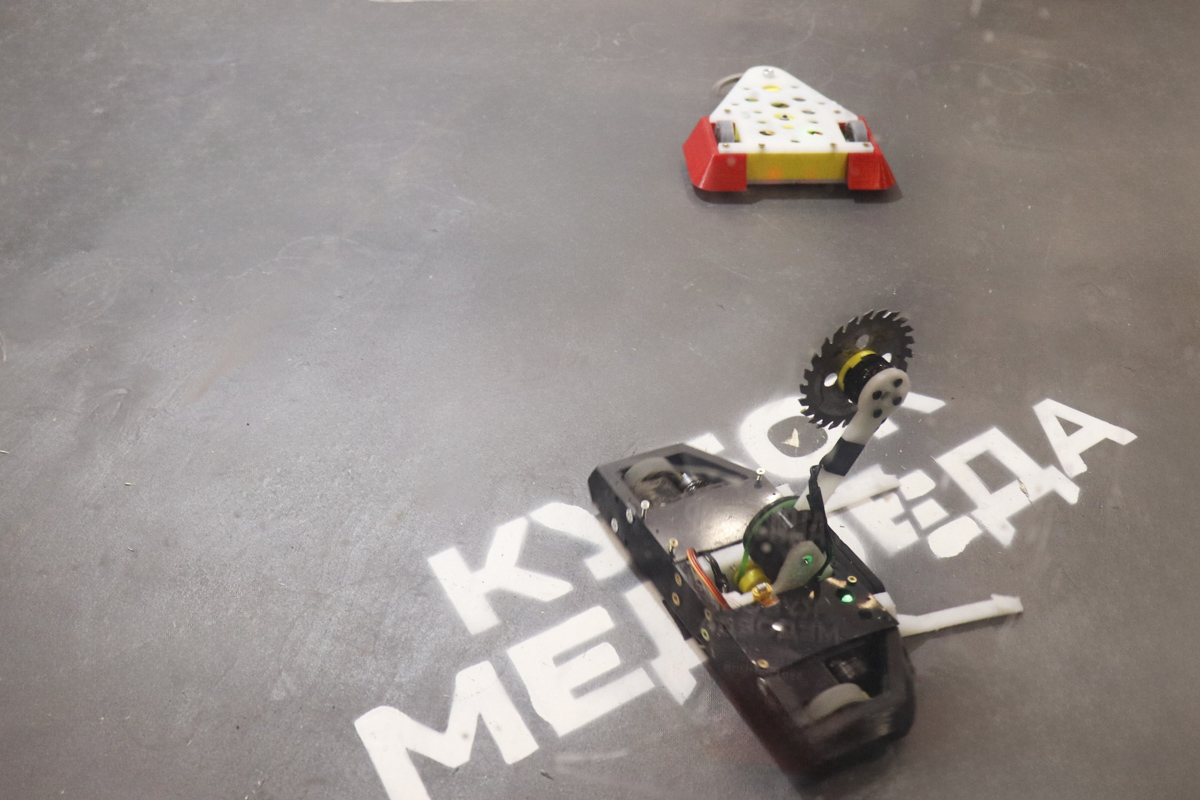 Роботов этой категории ещё называют «муравьями» 