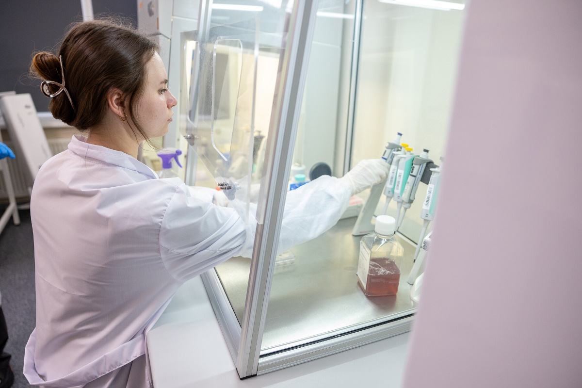 Тестирование полученных образцов на раковых клеточных культурах в in vitro исследованиях 