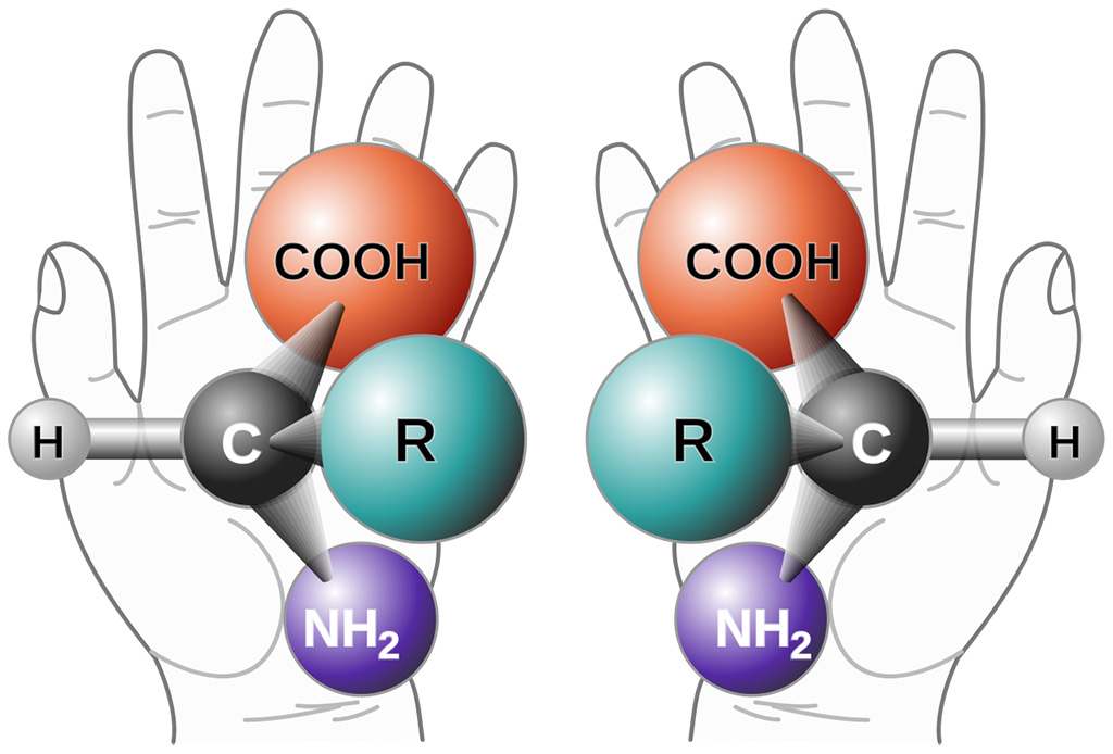 Хиральность (от др.-греч. рука) - отсутствие симметрии относительно правой и левой стороны. Пример с молекулой аминокислоты. Picture Wikimedia Commons