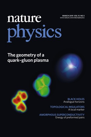 Результаты работы опубликованы в журнале Nature Physics, а снимок попал на обложку издания