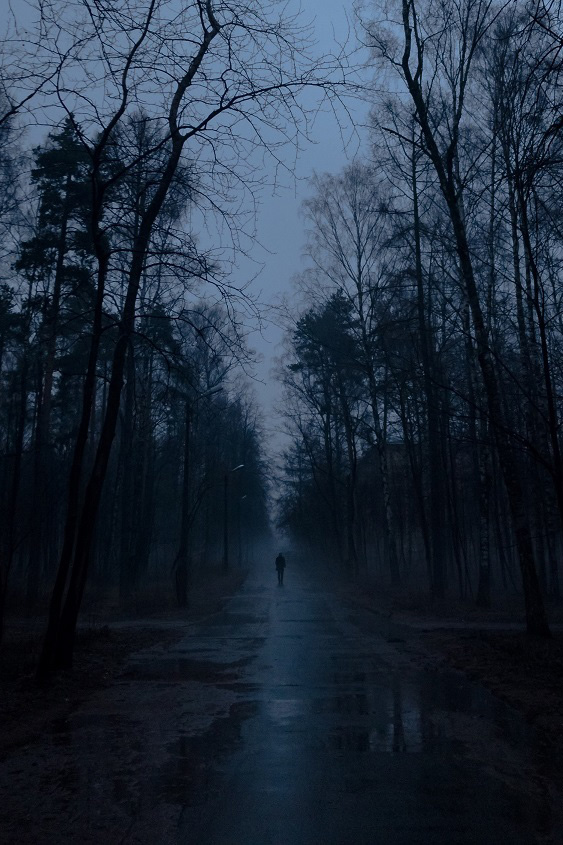 Работа Александра получила неофициальное название Silent Hill Работа Александра получила неофициальное название Silent Hill
