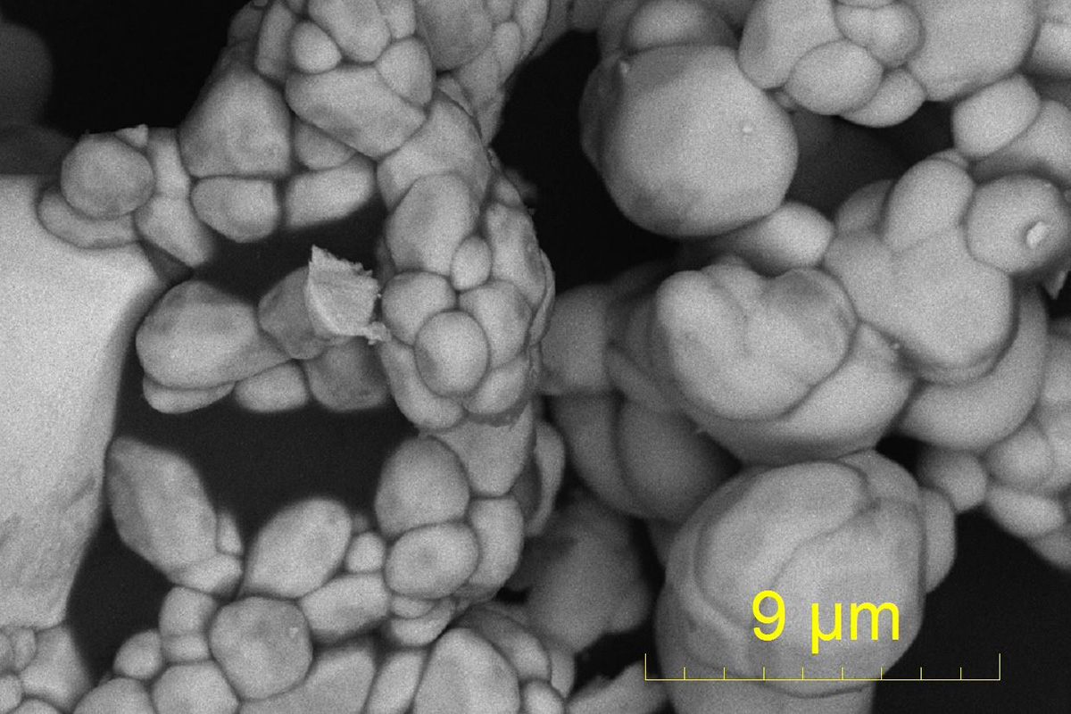 Порошок твердого электролита, полученный на сканирующем электронном микроскопе 
