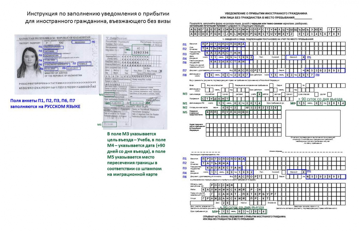 Миграционный учет образец