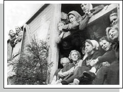 Студенты-политехники едут на целину. 1956-1958 Студенты-политехники едут на целину. 1956-1958