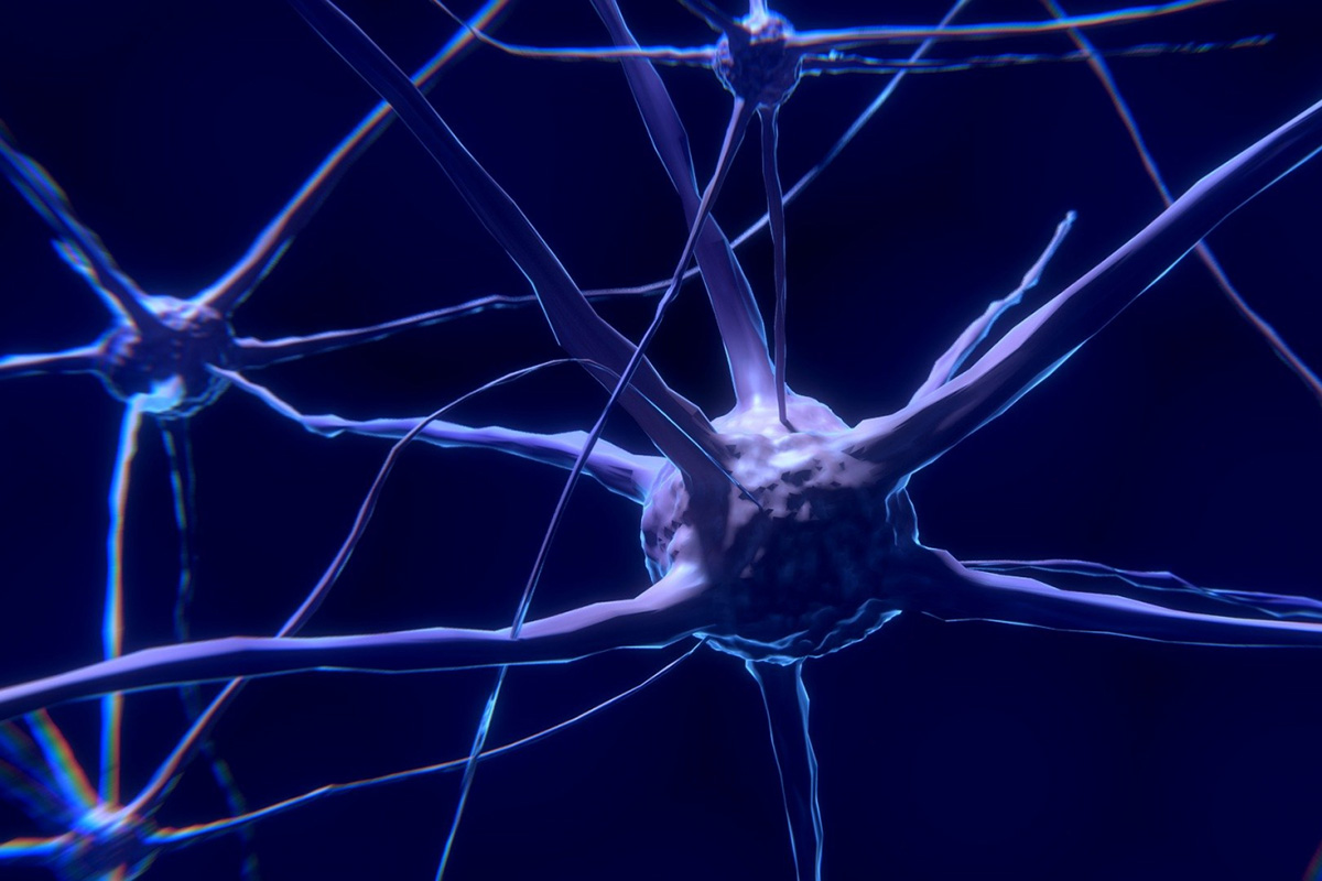 Математическое моделирование процессов головного мозга поможет в лечении эпилепсии и депрессии