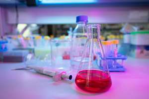 От вируса к воспалению: петербургские учёные о рисках гриппа у беременных