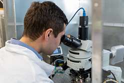 В Политехе испытали нового "ремонтника" связей в головном мозге