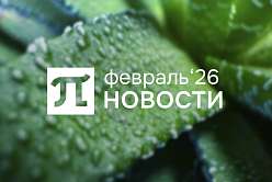 Главные события февраля