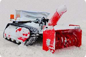 Железный характер. В Политехе создают робота для экстремального холода