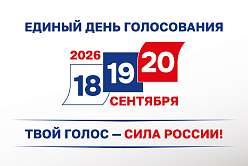 Выборы‑2026: инструкция по участию в голосовании
