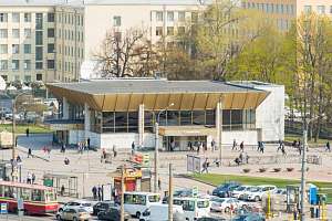 Учёные Политеха создали программу для снижения тяжести ДТП