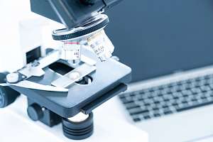 Профессор СПбПУ А.П. Козлов: жир имеет признаки опухоли