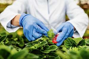 Эксперт Политеха рассказала о новых технологиях в сфере безопасности пищевой продукции на конференции в Узбекистане