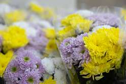 17 политехников среди победителей: в Политехе наградили лауреатов премии Правительства Санкт‑Петербурга