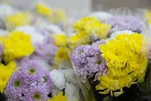 17 политехников среди победителей: в Политехе наградили лауреатов премии Правительства Санкт‑Петербурга