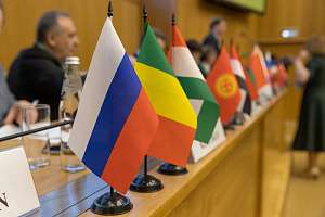 Минобрнауки России провело совещание по созданию зеркальных лабораторий для оценки ущерба странам Африки от колониализма