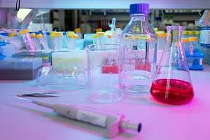 В Политехе создают технологии для качества жизни людей